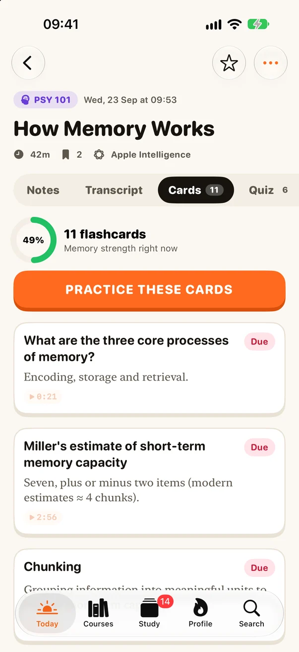 Cards tab showing memory strength and due flashcards