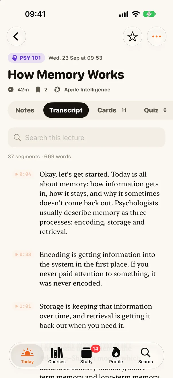 Transcript tab with timestamped paragraphs